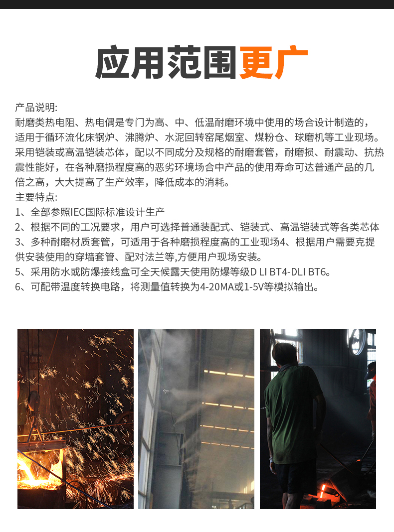 WRNM-131耐磨熱電偶15_http://m.xinjiangzhaosheng.cn_溫度儀表_第6張